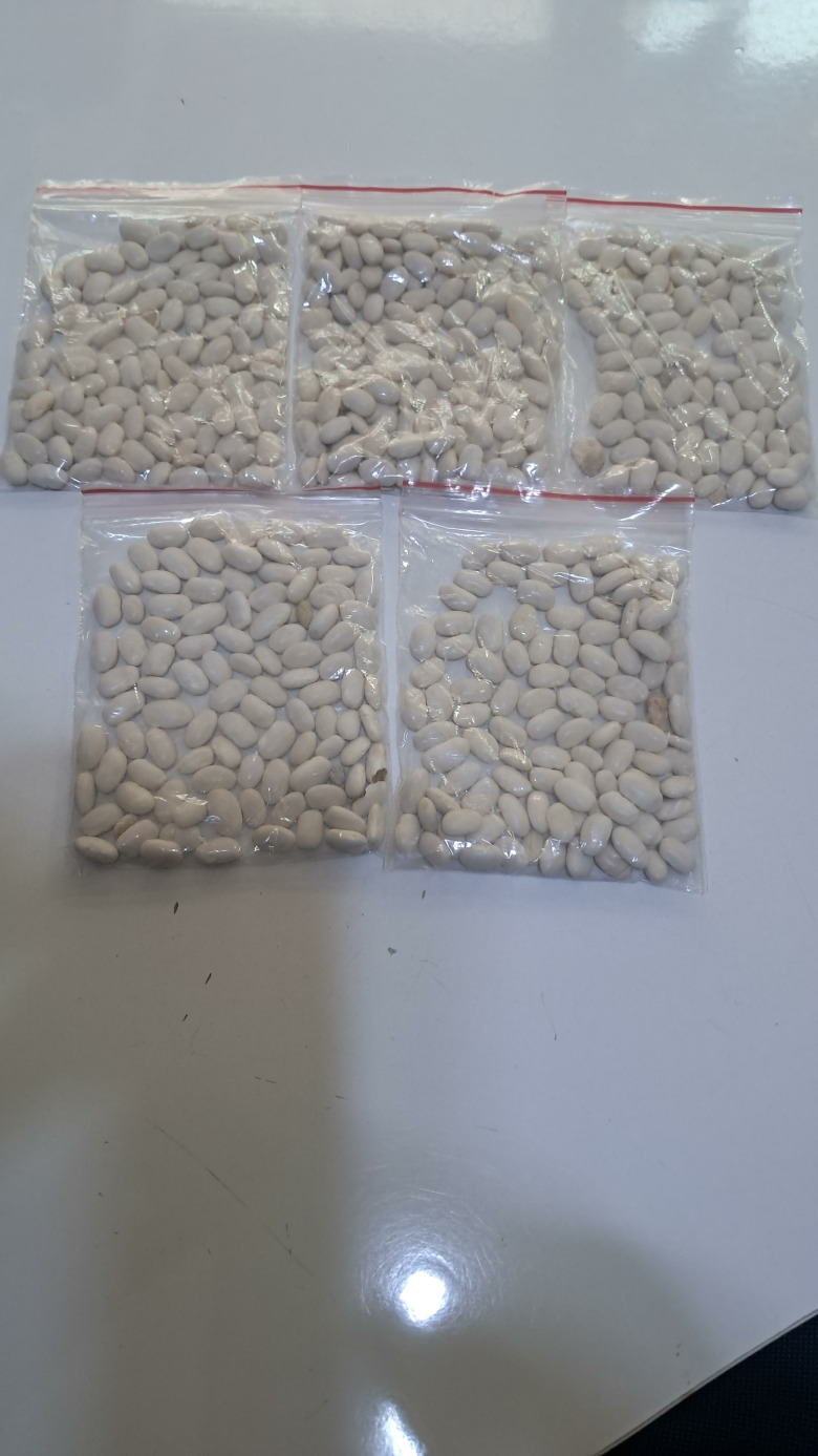 Köy Fasulyesi Doğal Natürel 