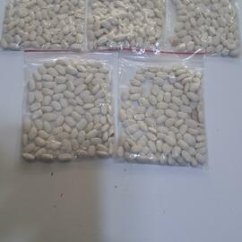 Köy Fasulyesi Doğal Natürel 