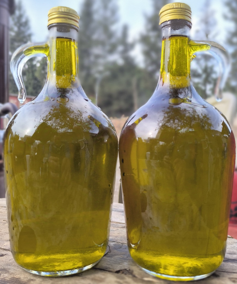  Coğrafi İşaret Tescilli İade Garantili Soğuk Sıkım Natürel Sızma Zeytinyağı 