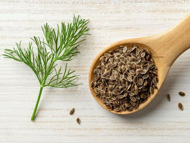 Dereotu Tohumu 5 Gram