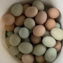 Köy Yumurtası - 8Gr