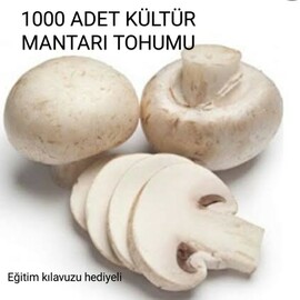 Kültür Mantarı Tohumu 1000 Adet