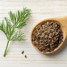 Dereotu Tohumu 5 Gram