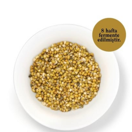 Filizlendirilmiş Fermente Maş Fasulyesi