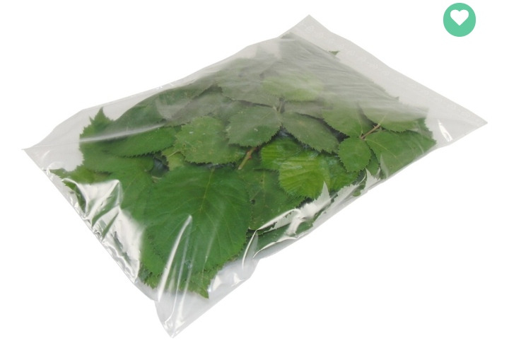 Böğürtlen Yaprağı Çayı (Taze) 100 Gram