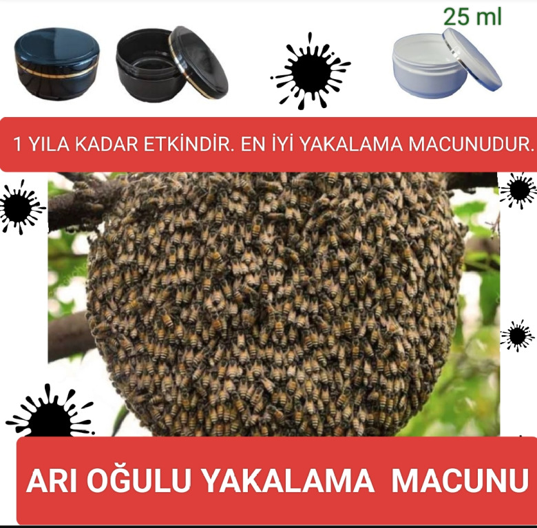 Arı Oğulu Yakalama Macunu