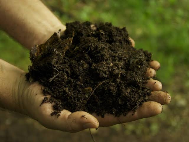 Organik Gübre; %100Bitkisel Ve Hayvansal 