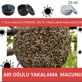Arı Oğulu Yakalama Macunu