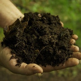 Organik Gübre; %100Bitkisel Ve Hayvansal 