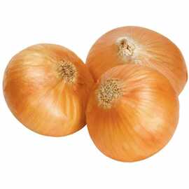 Soğan Köy Soğanı