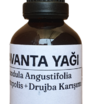 Lavanta Uçucu Yağı 50 Ml - 2