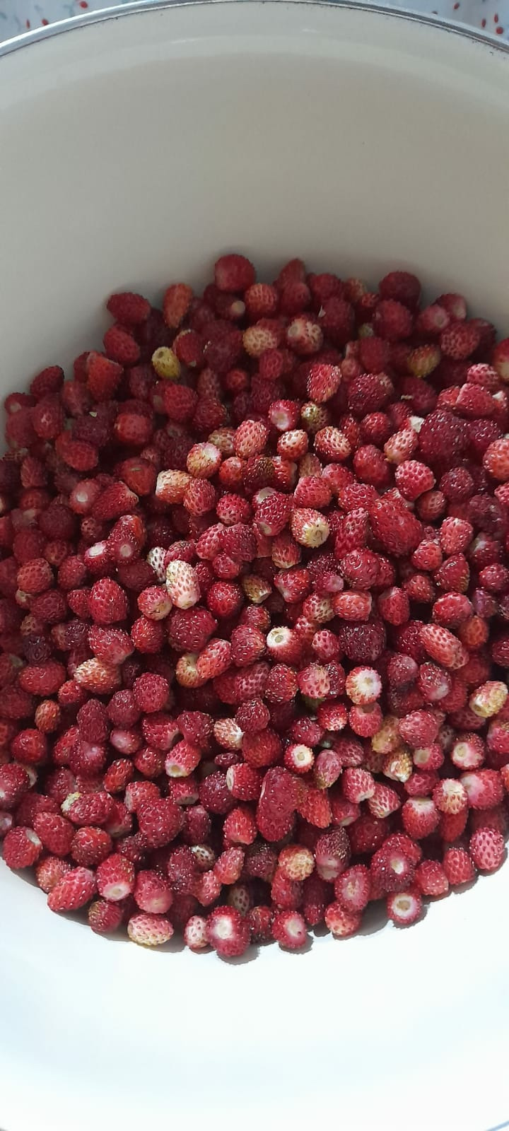 Dağ Çileği Reçeli (Geleneksel Yöntemle)