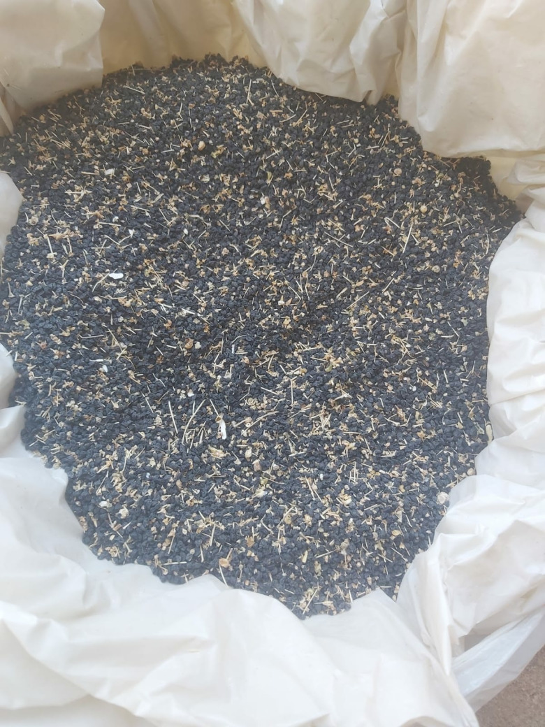 Pırasa Tohumu (50 Gram)