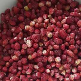 Dağ Çileği Reçeli (Geleneksel Yöntemle)