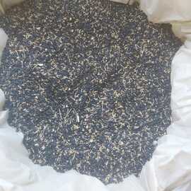 Pırasa Tohumu (50 Gram)