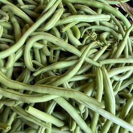 Fransız Taze Fasulyesi – Haricot Vert