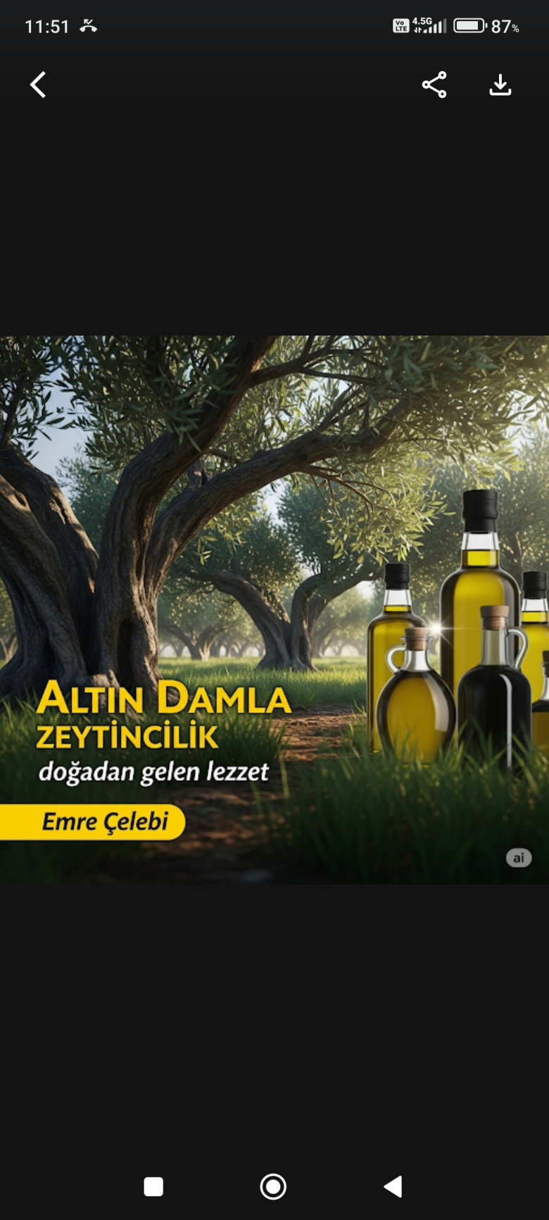 Natürel Sızma Zeytinyağı