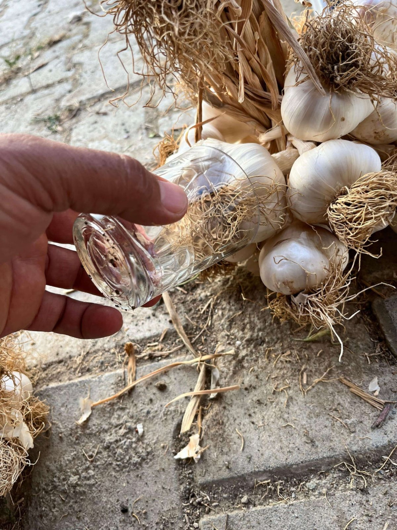 Taşköprü Sarımsağı Duble Boy 