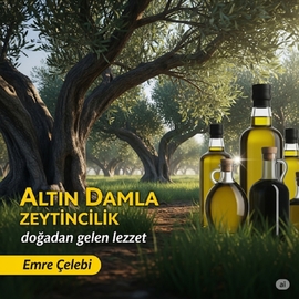 Natürel Sızma Zeytinyağı