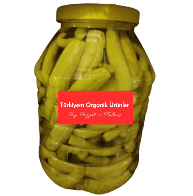 Ev Yapımı Antep Acur Turşusu 2 Lt
