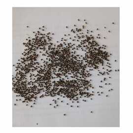 Sarı Hardal Tohumu 35Kg 