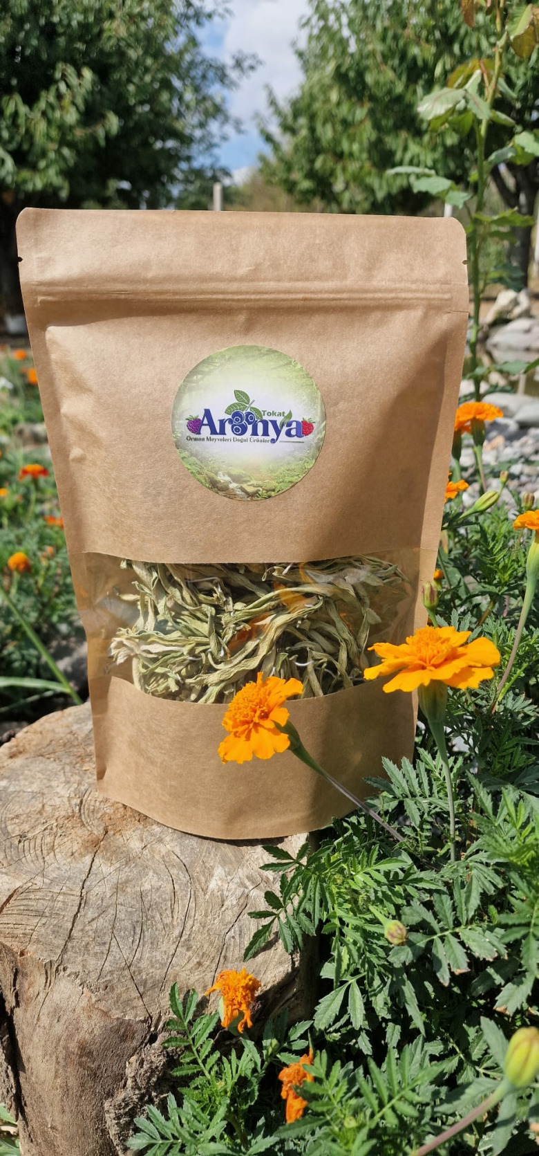 Kurutulmuş Taze Fasülye