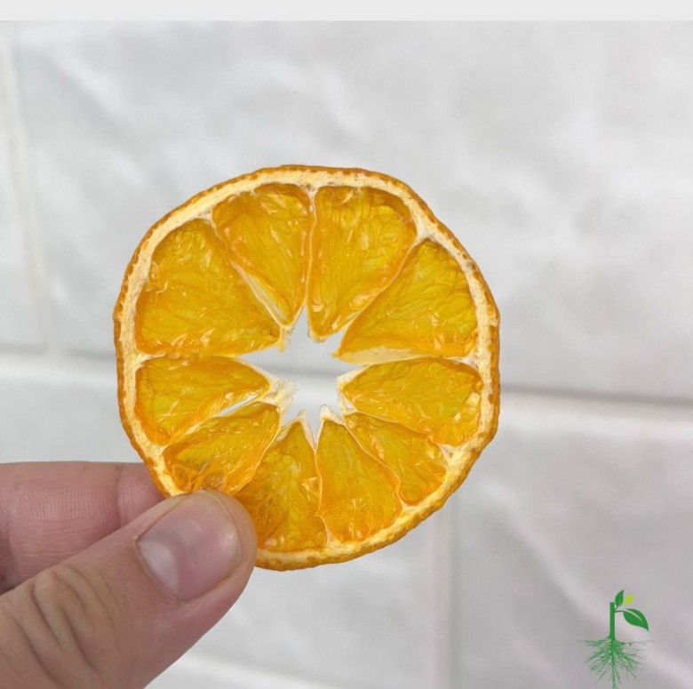 Kurutulmuş Mandalina Dilimleri (1000 Gr.)