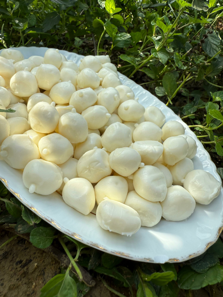 Misket Peyniri (Geleneksel Hatay Usulü)