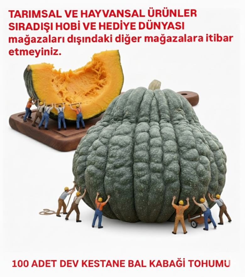 Dev Kestane Bal Kabağı Tohumu 100 Adet