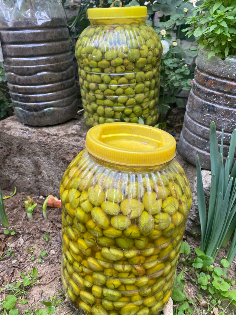 Hatay Kırık Yeşil Zeytin 5 Kg 