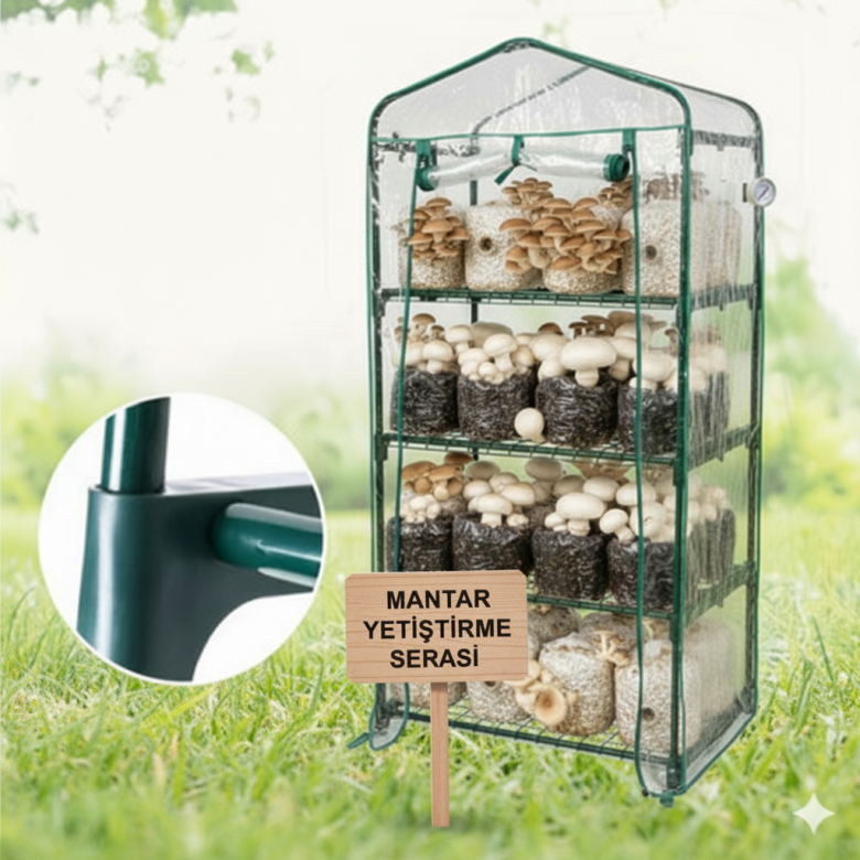 Mantar Yetiştirme Serası