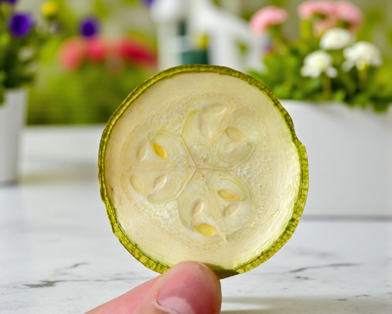 Kurutulmuş Kabak Cipsi (100 Gr.)