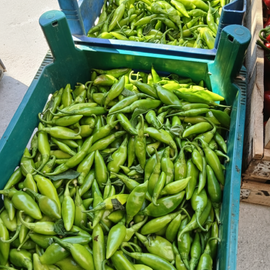 5 Kg Balık Biberi Turşusu