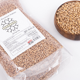 Karakılçık Buğday 5 Kg (Tohumluk)