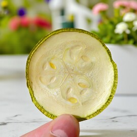 Kurutulmuş Kabak Cipsi (100 Gr.) - BULUT TARIM ÇİFLİGİ 