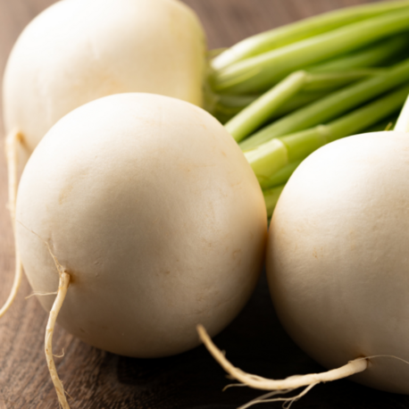 Beyaz İnci Turp Tohumu