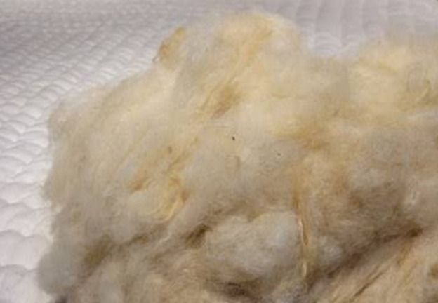 Yıkanmamış Koyun Yünü