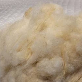 Yıkanmamış Koyun Yünü