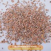Kırmızı Turp Tohumu - 2