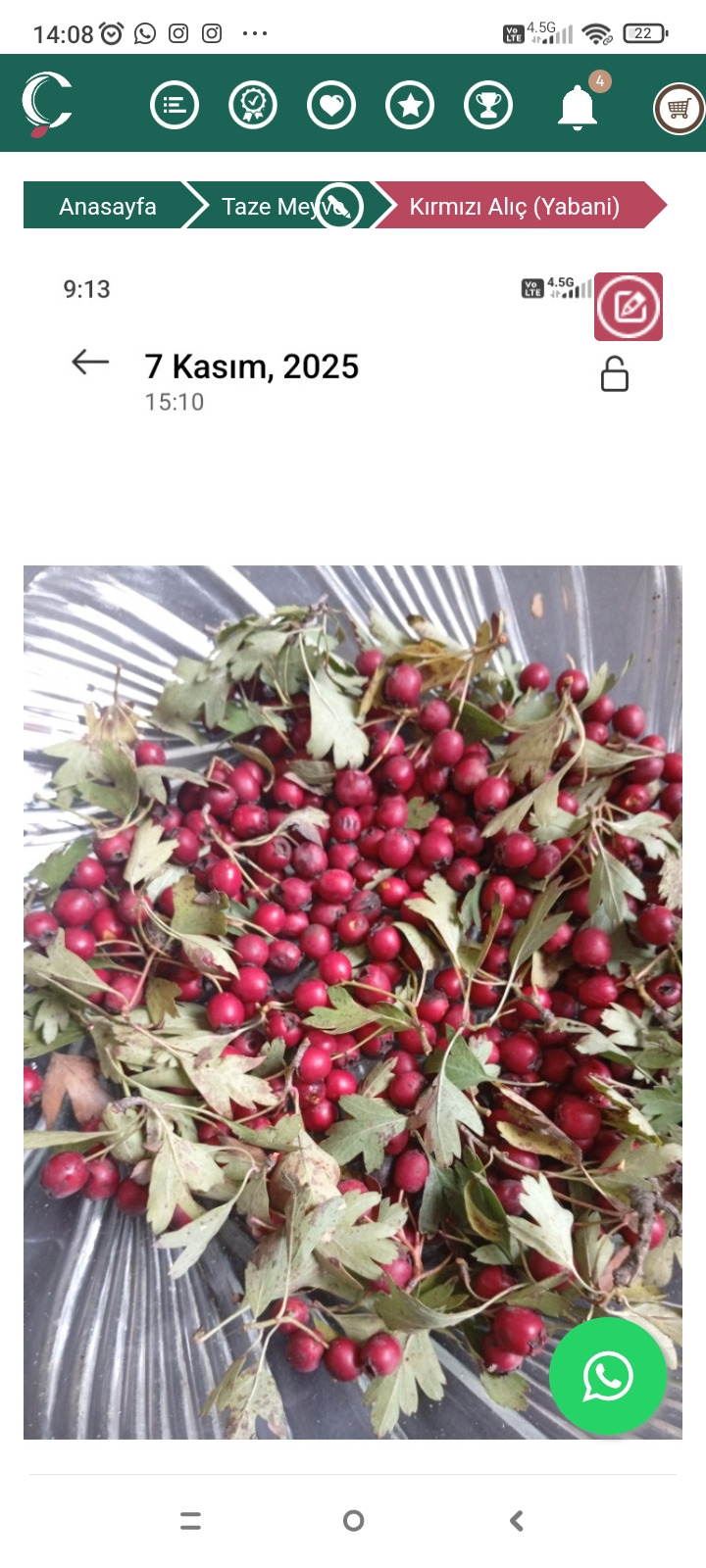 Alıç Çayı (Doğal Kurutulmuş)