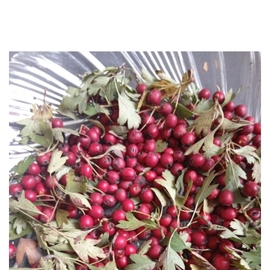 Alıç Çayı (Doğal Kurutulmuş)