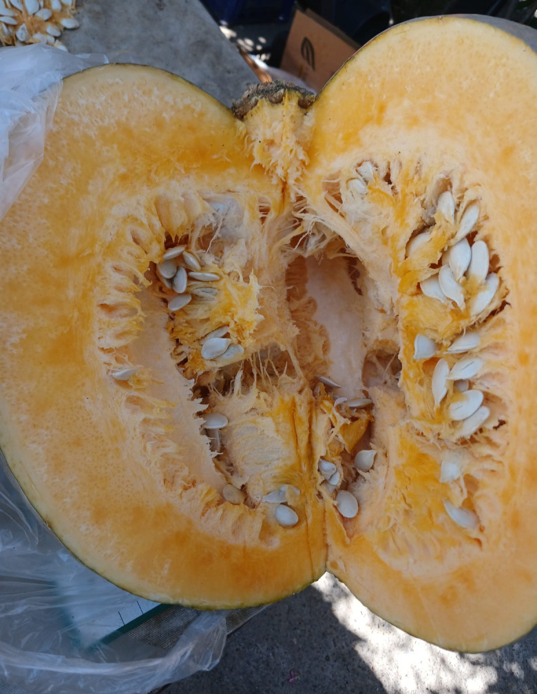 Balkabağı (Organik)