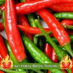 Hatay Acı Biber Tohumu
