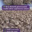 Safran Çiçeği Soğanı 10 Adet Mis Kokulu Soğan Ev Bahçe İçin İdea