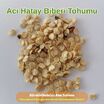 Hatay Acı Biber Tohumu - 3