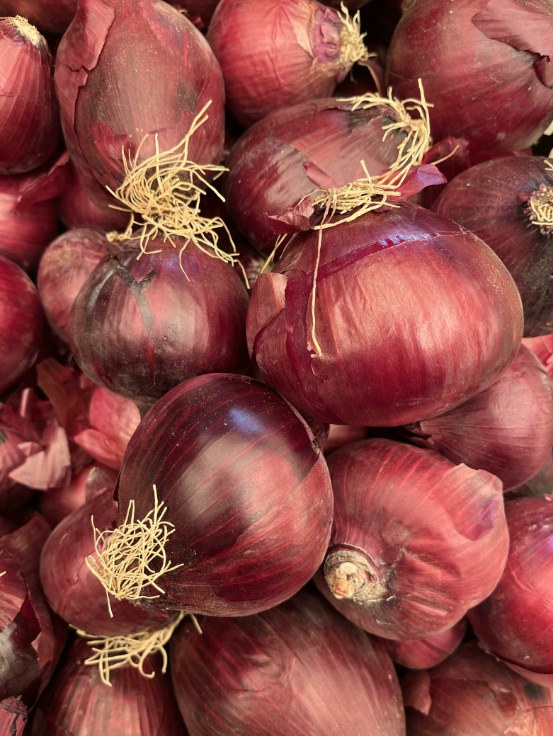 Mor Soğan (Organik Ve Yerel Tohum)
