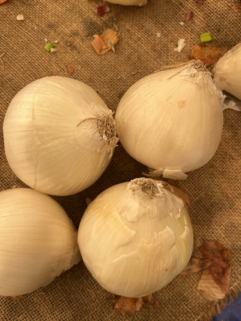 Organik Gümüş Soğan