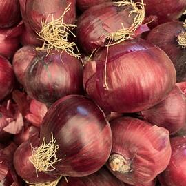 Mor Soğan (Organik Ve Yerel Tohum)