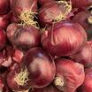 Mor Soğan (Organik Ve Yerel Tohum)