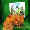 Buff Orpington Kuluçkalik Yumurta - 2